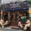 땡큐베리(Thankyou berry) | [전포 카페, 전포] 땡큐베리케이크 Thank you Berry cake - 크리스마스 카페 🎄, 요거트귤케이크, 아아...