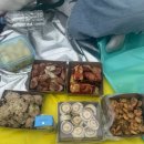 한강피크닉과 곁들인 한강버스 후기 🛳️🚌 | 은근 괜찮은 경험일지도? 👀