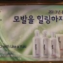 (주)코베라 네이버블로그