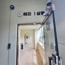 자연에마트 | 광주 진월동 미용실 헤리티살롱 자연갈색 염색 아인 수석디자이너 예신 상견례 준비 후기