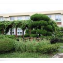 옹동초등학교 이미지