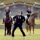 Royal Saddle Equestrian Society | [줌인 경기도] 싸이 강남스타일 무대, 로얄새들 승마클럽