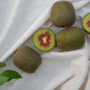 중대농장2 이미지