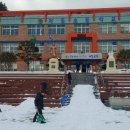 울릉초등학교 이미지