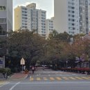 금곡초교 | 🏠 분당 금곡동 청솔마을 8단지 대원아파트 임장 후기