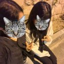춘심의 꿈꾸는 아리랑 | [튀르키예 일정편] 카파도키아 🏜️ 벌룬투어 | 일출일몰 | 뷰포인트 | 파노라마뷰 | 한식당