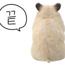 봄이네국수 - 김천시 부곡맛고을6길 20-5 | 봄이네국수