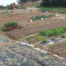 울진공인행정사 이미지