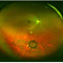 드림진안과의원 이미지