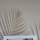 은가비송 이미지