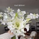 라이브헤어겔러리 | 동행비 무료 플래너 비용없는 풀동행 S웨딩 계약 후기 및 스드메 혜택 (feat. 박지연 플래너님)