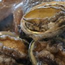 오로지애월 이미지