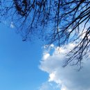 유성토박이 이미지