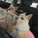 화성포레스트벨리