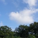 강미화 행정사사무소 이미지