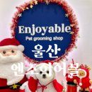 엔조이어블 이미지