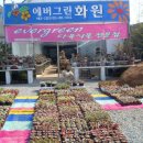 에버그린화원 이미지