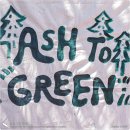 화마가 지나간 자리에 다시 초록이 물들고 있었구나 「Ash to Green」 백패킹 행사 후기 1부