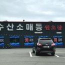 원초장