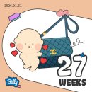 양산온누리약국 | 임신 중기, 27-30주차 증상과 일상