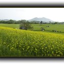 고창농원 이미지