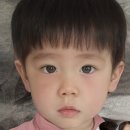 안정기를 맞아 쓰는 임신 기록(~16주)