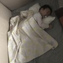 아기베게 도노도노 에어필로우는 정말 필수템!