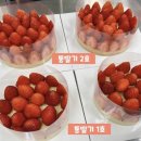 그여행용황점 이미지