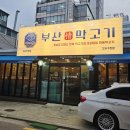 부산막고기강서