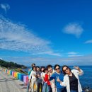 (주)제주미니미니랜드 | 제주도 미니버스 대여로 편하게 즐긴 친구들과 제주 여행