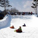 강원도의 얼음축제 현장 이미지