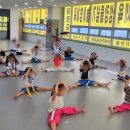 타이거 유치부 태권도 전용관 이미지