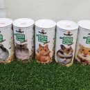 패러그린 이미지