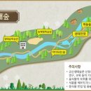 금산 자연 오토캠핑장 이미지