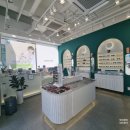 아이존안경원 | 아이존안경원 마곡나루점 근시 완화 렌즈로 편한 눈!!