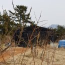 개간지천 네이버블로그