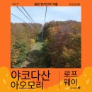 산 | 아오모리 야코다 산 단풍놀이 로프웨이 요금 후기