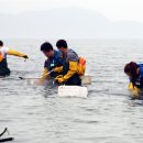 해루질 - 양산시 | 해루질