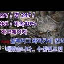 굴베이그 이미지