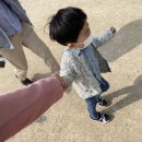 고령 딸기체험 여왕딸기 제대로 즐기기 깨알 팁 공유