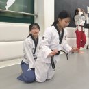 봉담 경희대 태권도장 이미지