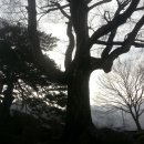 매향민박 이미지