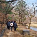 구갈레스피아 이미지