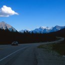 파크필드 이미지