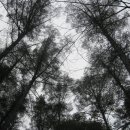 노변중학교 이미지