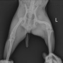 청라호수동물메디컬센터 이미지