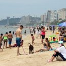 대천해수욕장 이미지