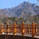 울산어울길제1구간 | 설악산 국립공원 홈페이지 및 입장료 , 등산코스 추천