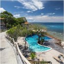 편안한 댕 이미지