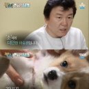 개밥주는 남자 이미지